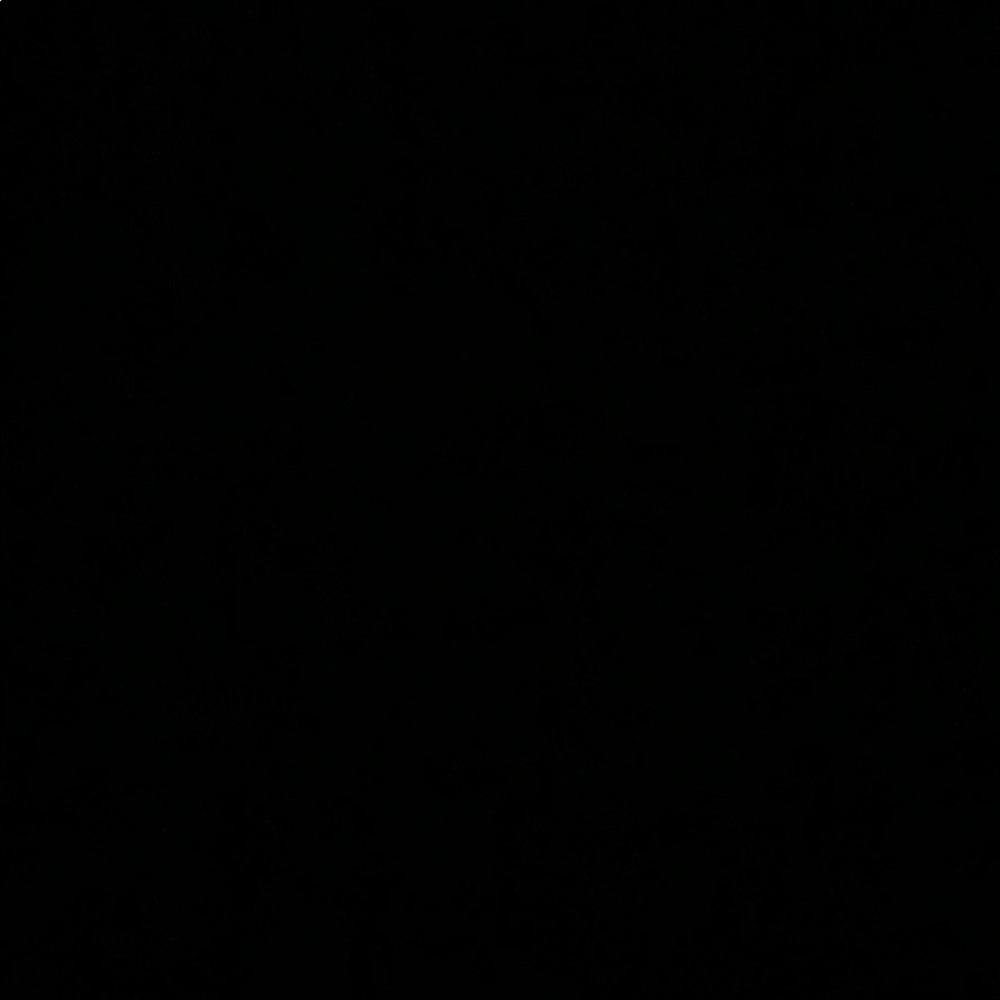 Meet your Posher, Araceli